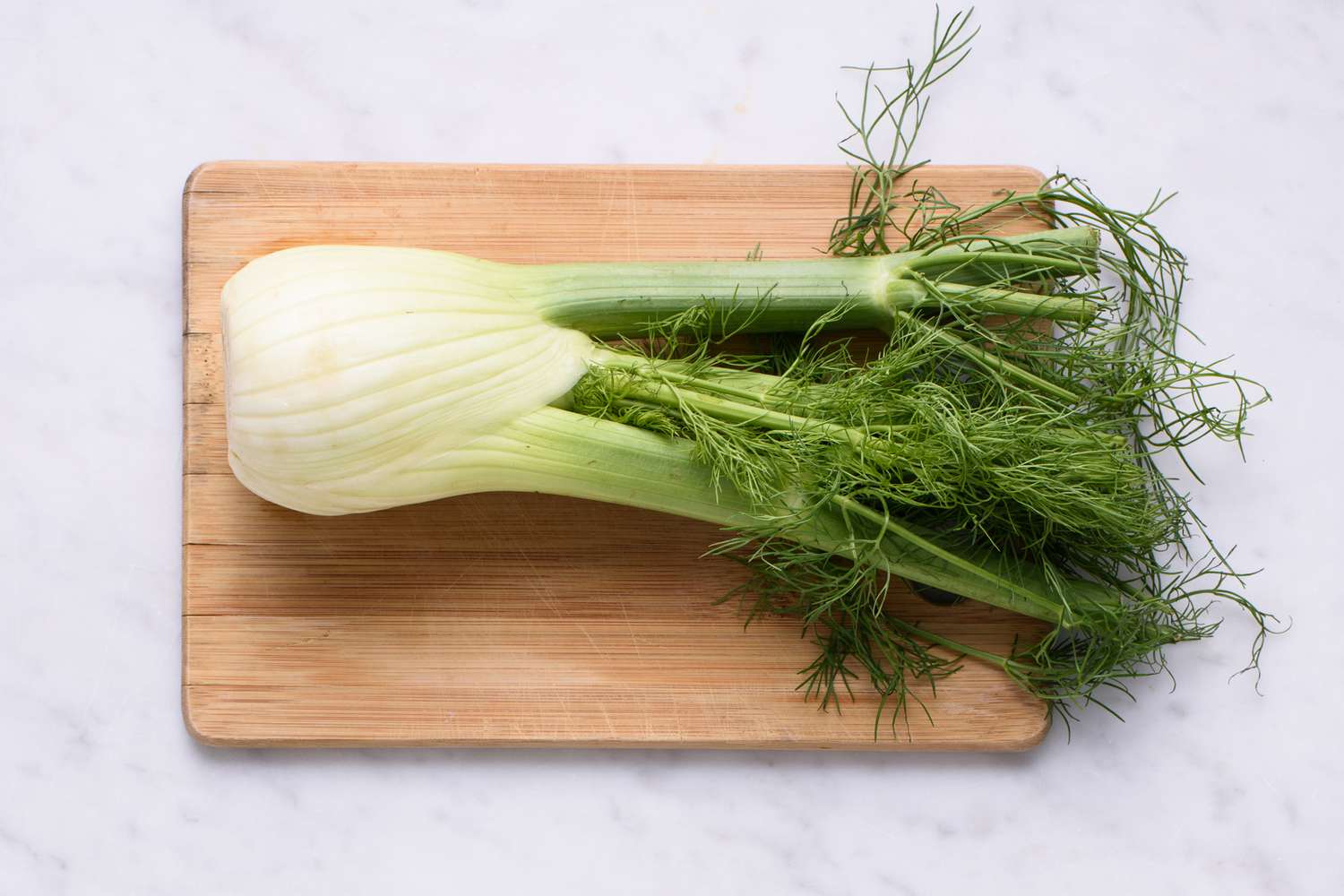 how-to-eat-fennel-for-milk-supply