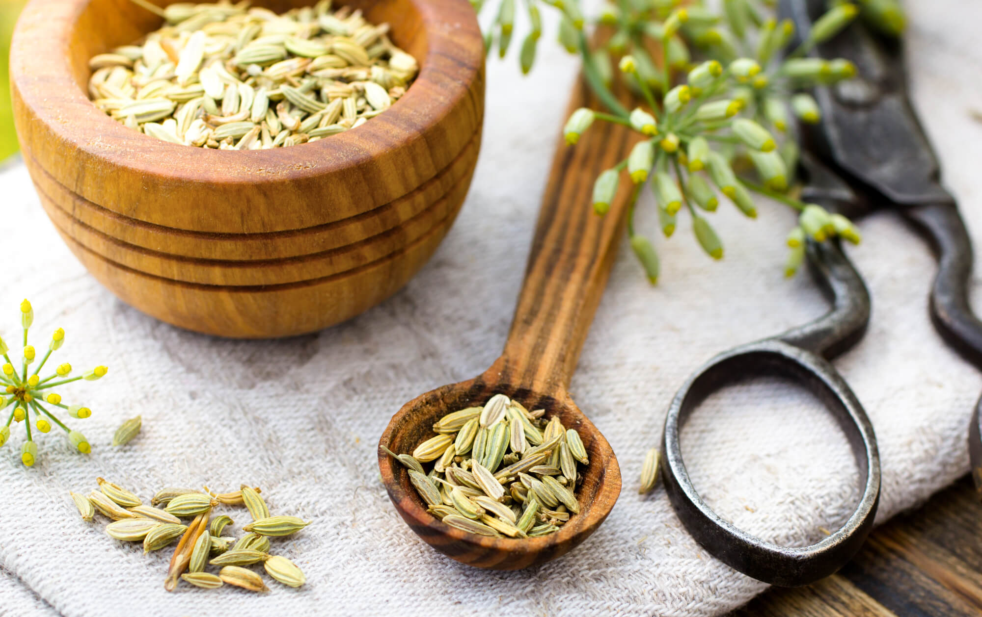 how-to-eat-fennel-seeds-to-increase-breast-milk-production