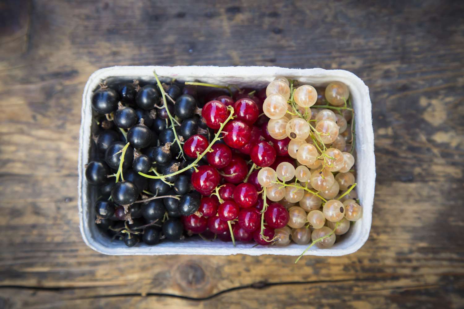 how-to-eat-fresh-currants