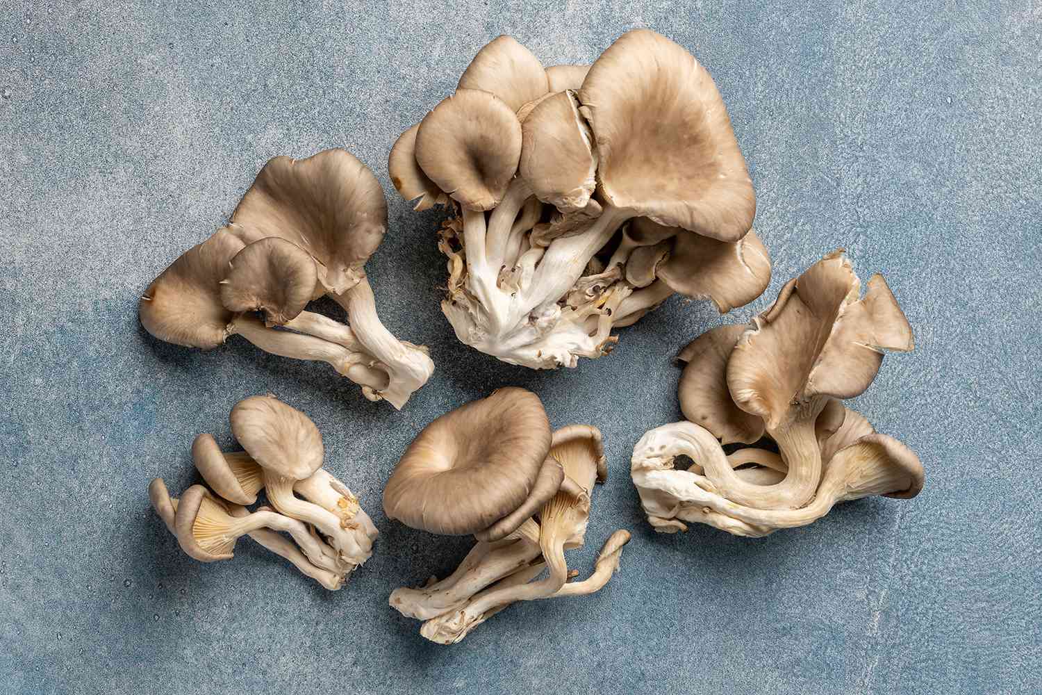 how-to-eat-fresh-mushrooms