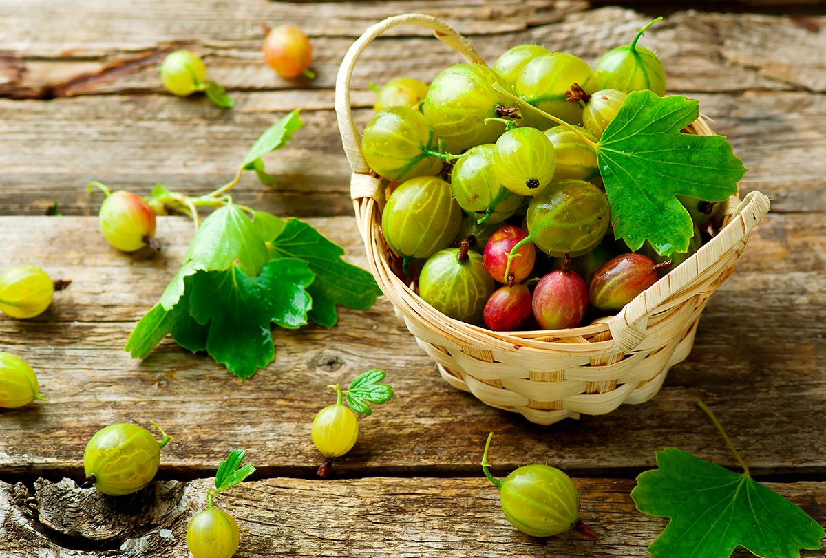 how-to-eat-gooseberry-fruit