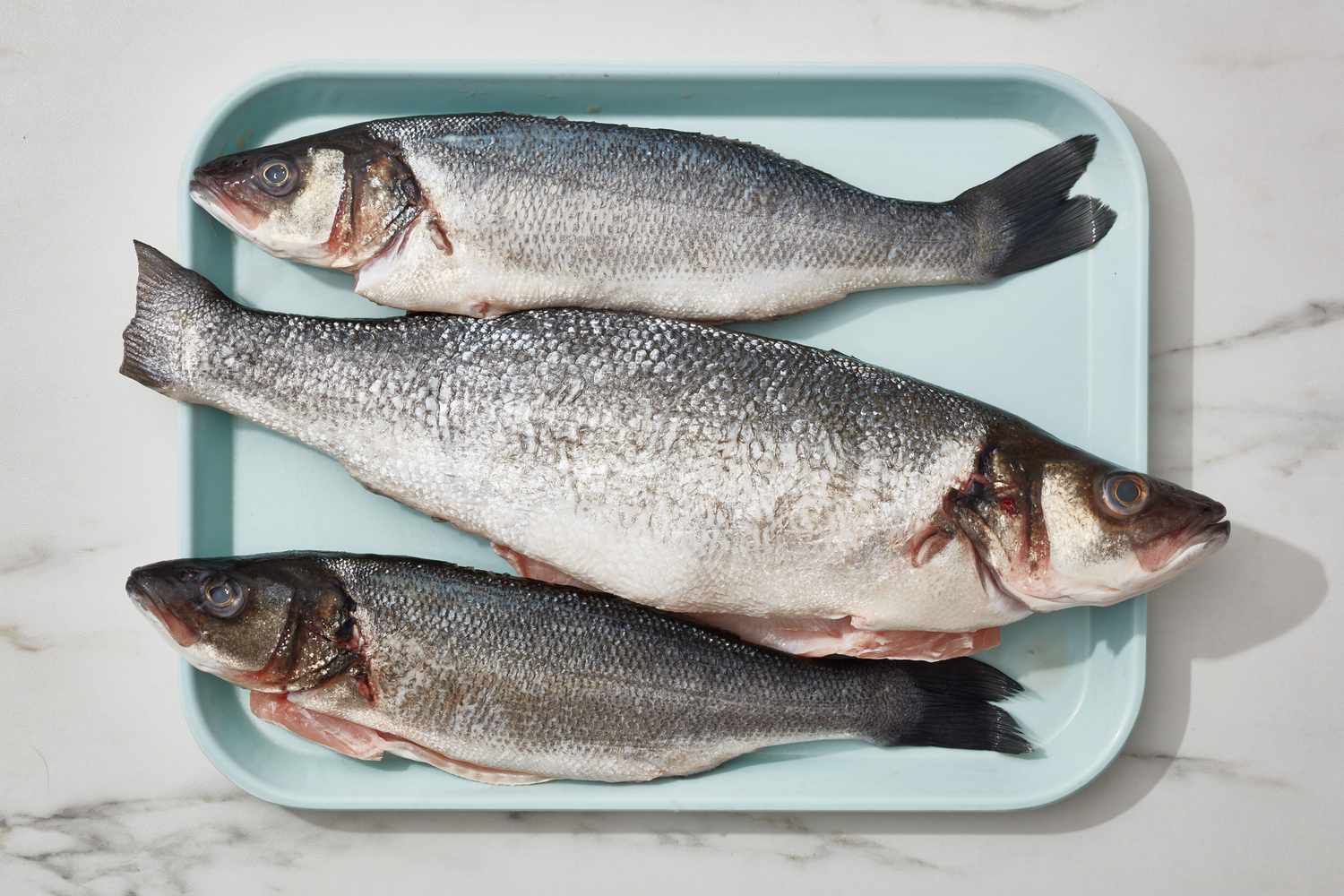 how-to-eat-gray-fish