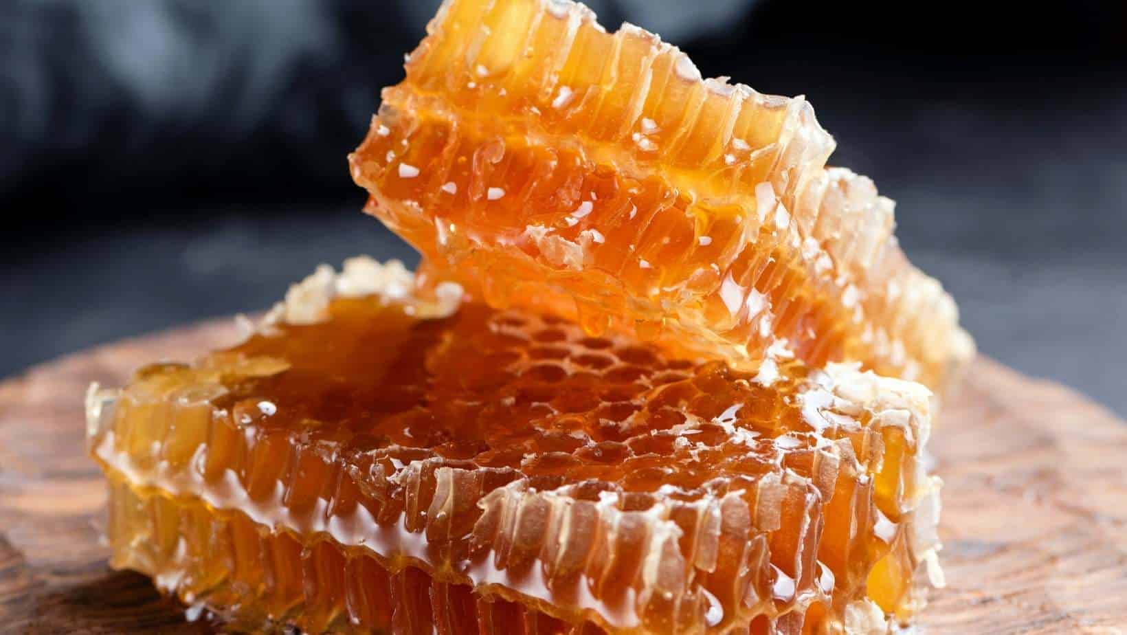 how-to-eat-honeycomb-without-eating-wax