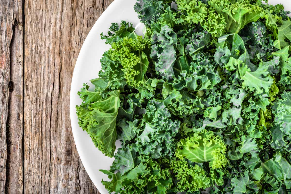 how-to-eat-kale-leaves