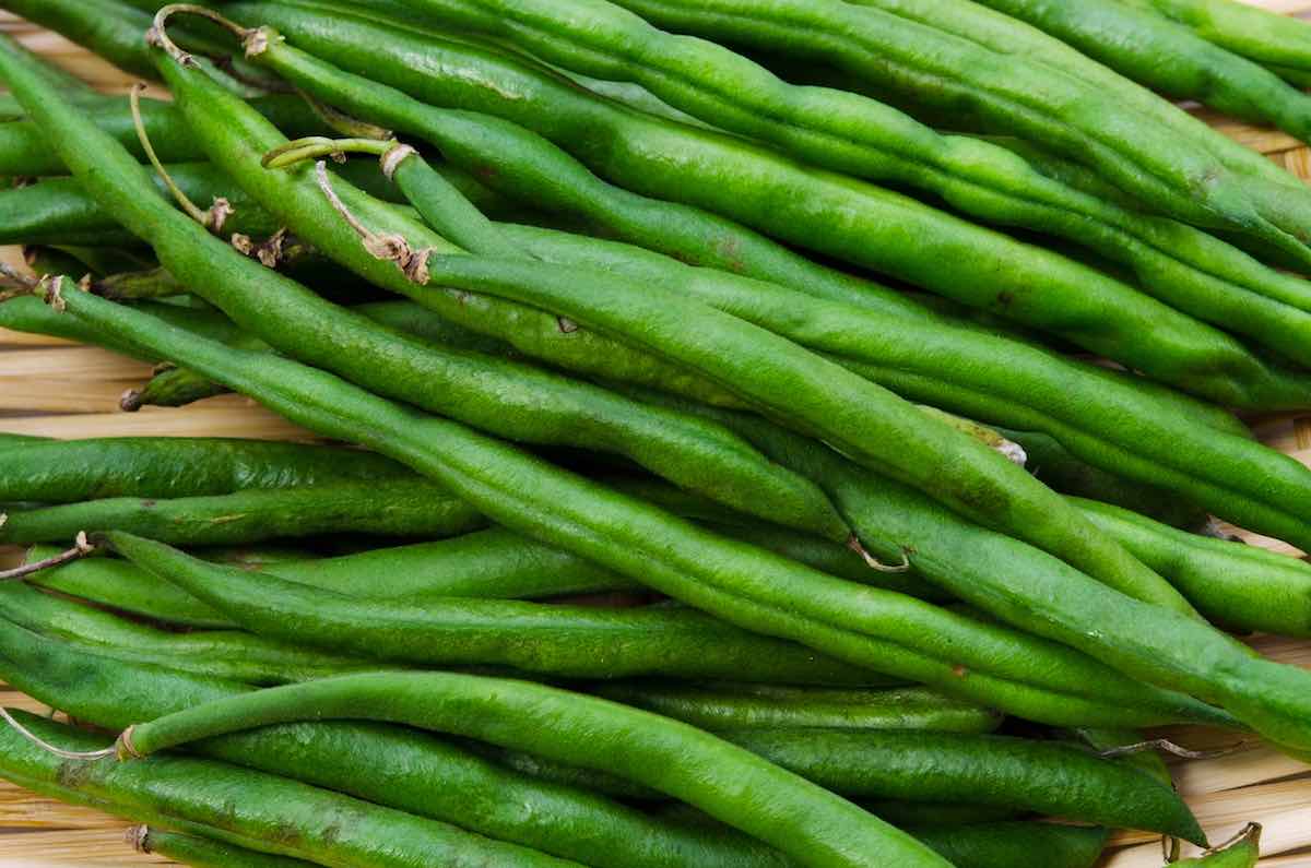 how-to-eat-kentucky-wonder-pole-beans