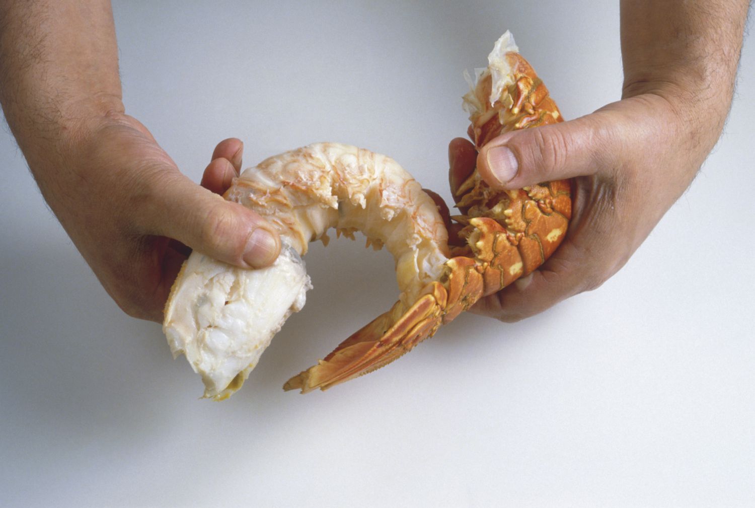 how-to-eat-lobster-the-right-way