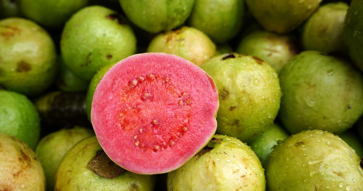 how-to-eat-mexican-guava-fruit
