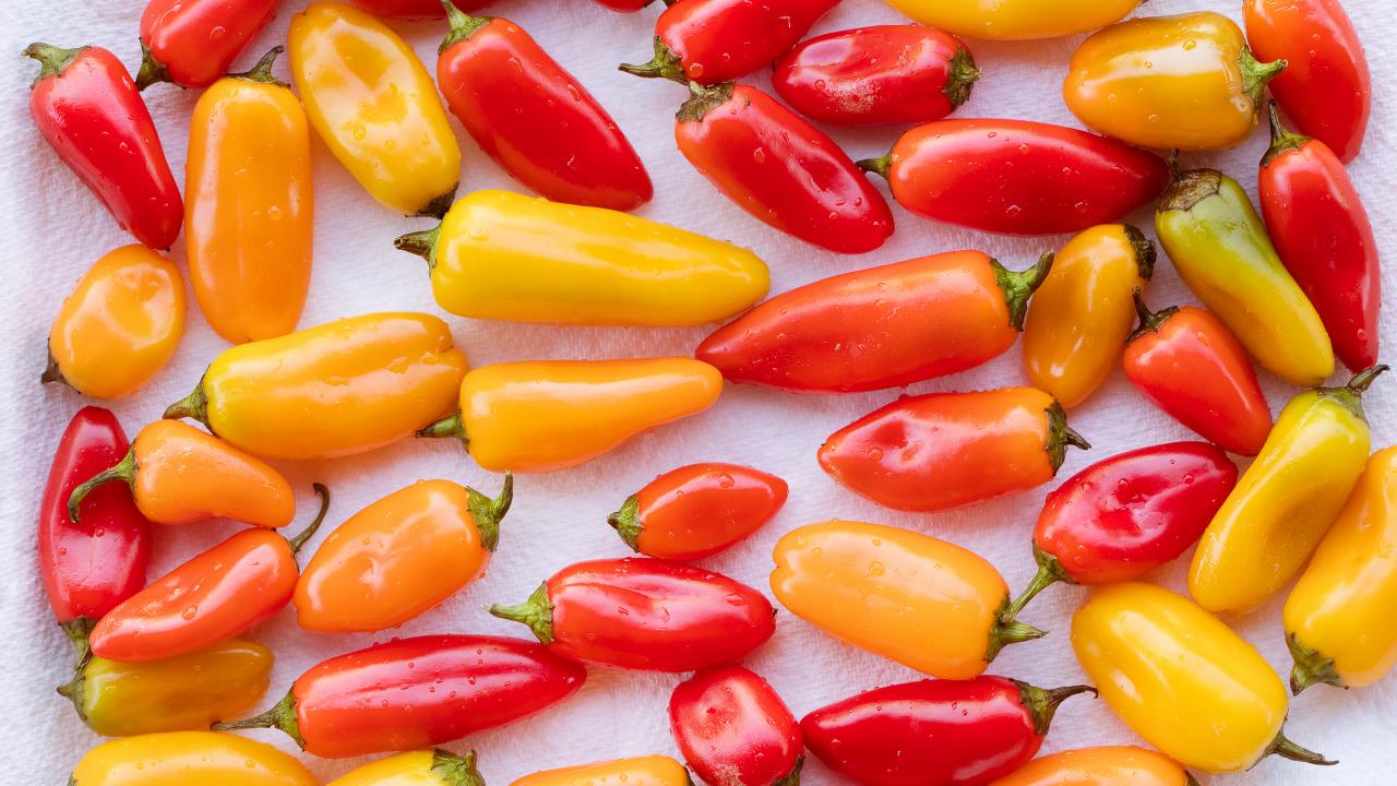 how-to-eat-mini-sweet-peppers