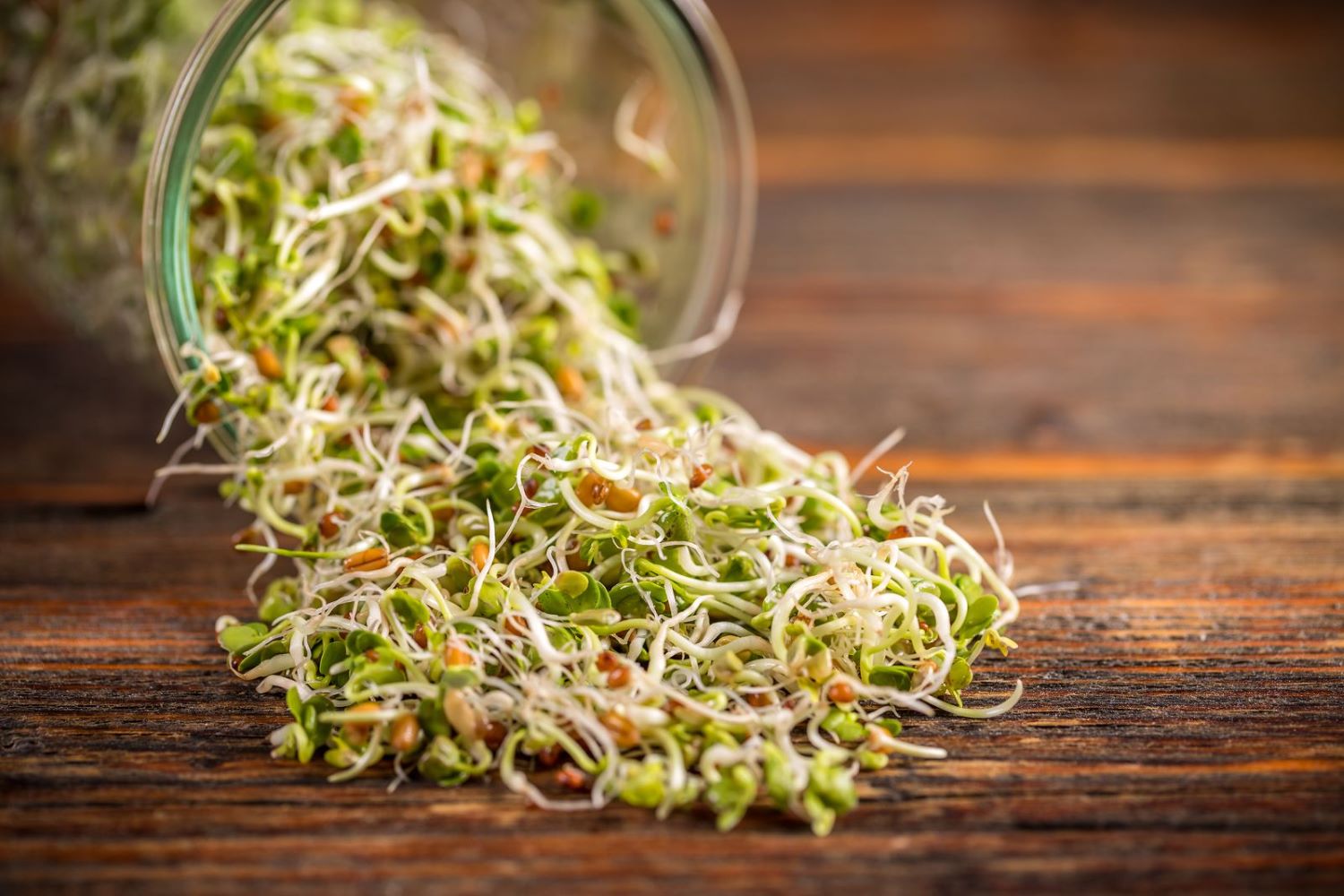 how-to-eat-mixed-sprouts