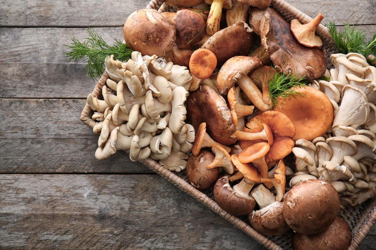how-to-eat-mushrooms