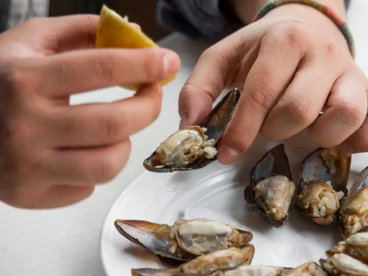 how-to-eat-mussels-politely