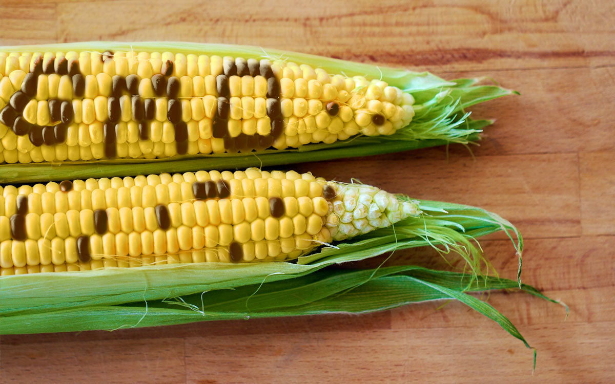 how-to-eat-non-genetically-modified-foods