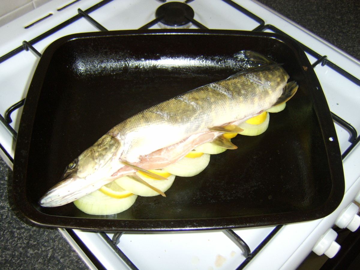 how-to-eat-northern-pike