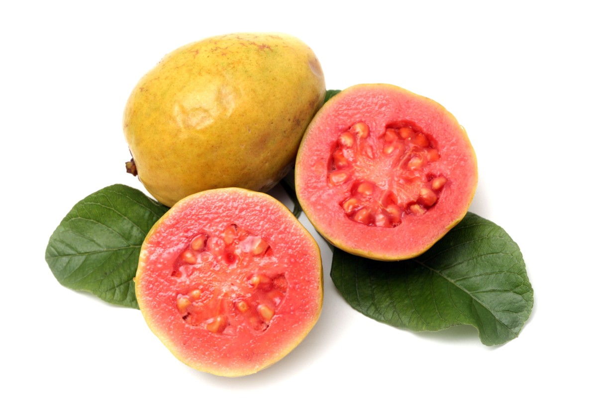 how-to-eat-or-drink-guava