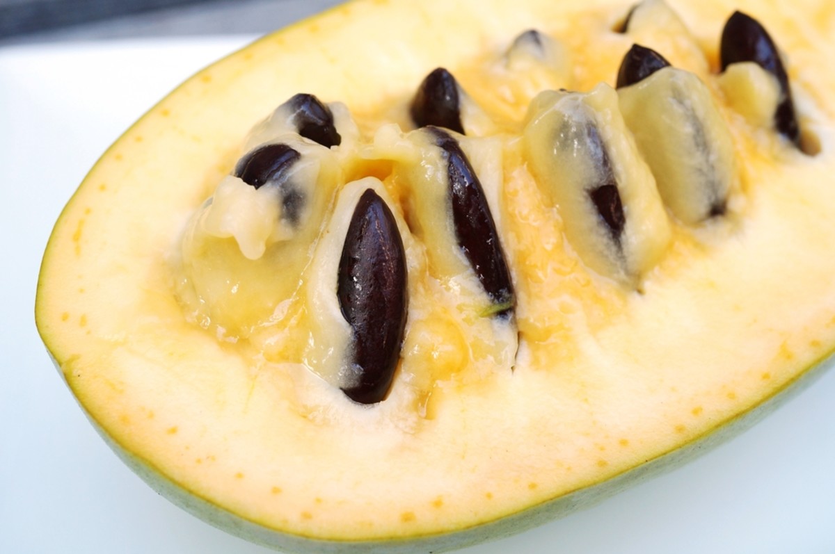 how-to-eat-pawpaw-fruit