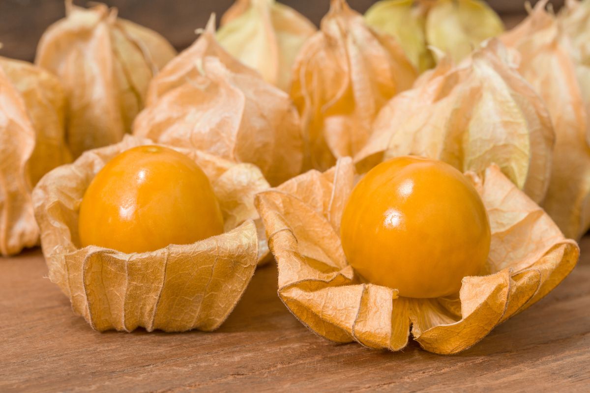 how-to-eat-physalis