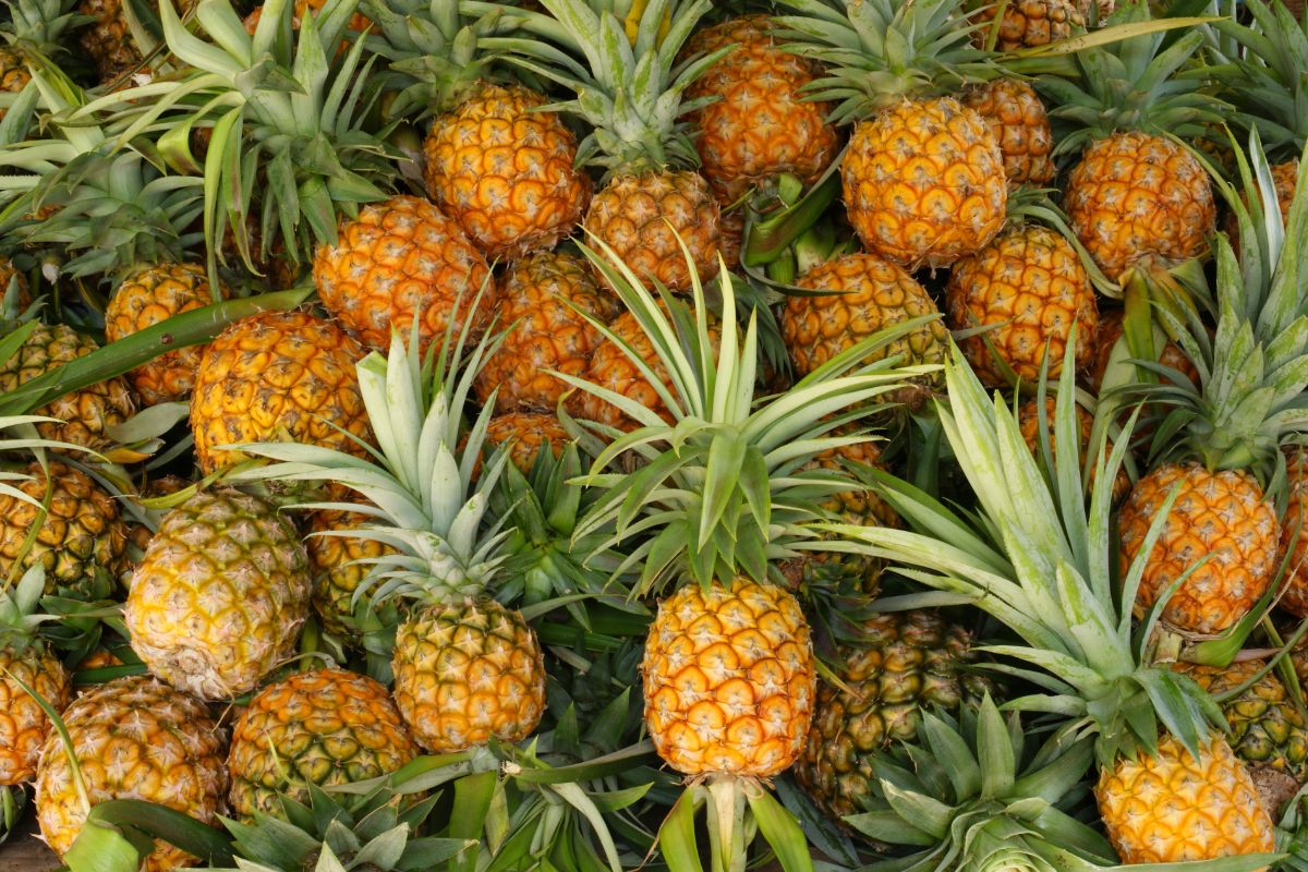how-to-eat-pineapple-without-hurting-your-mouth
