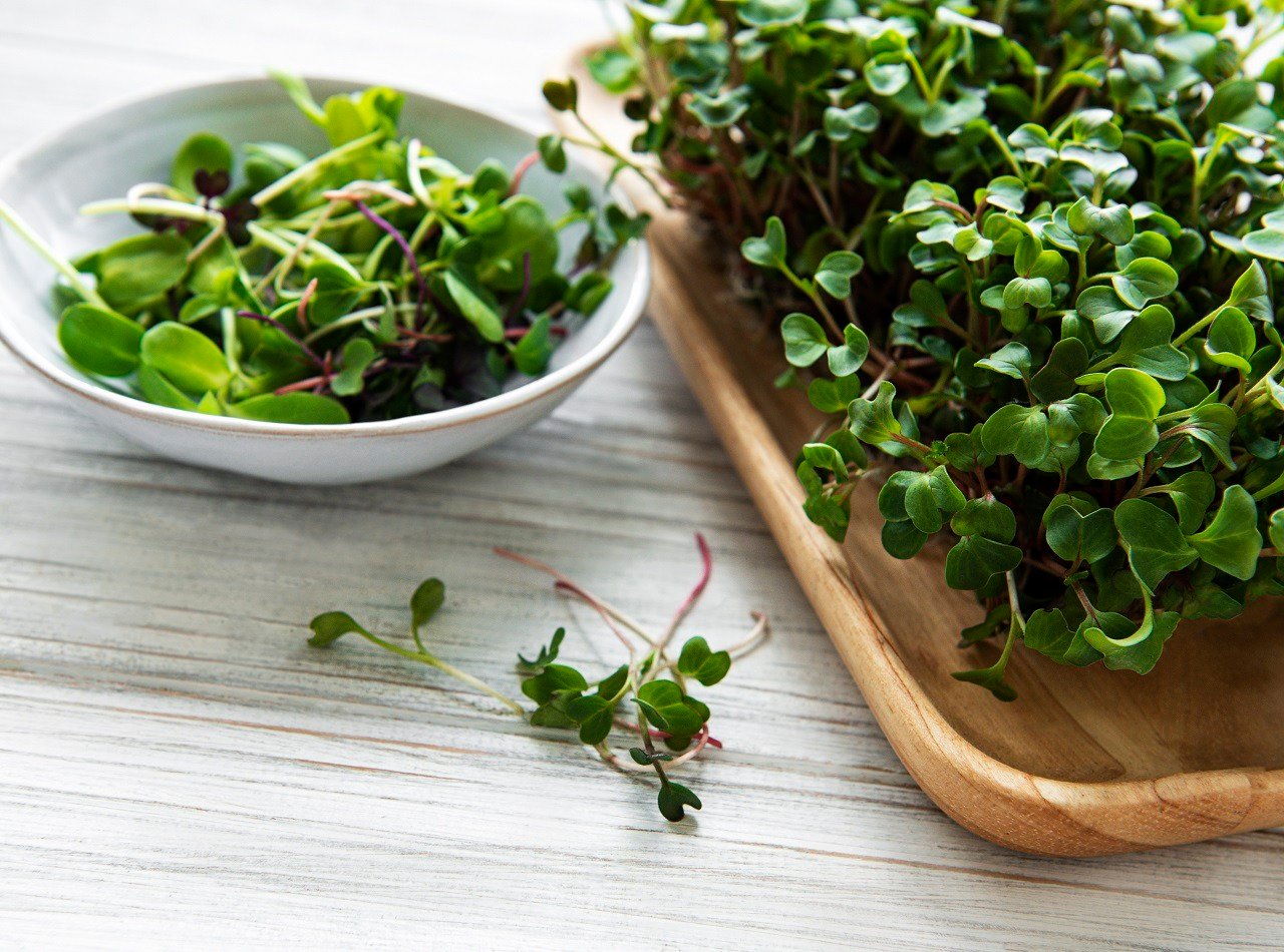 how-to-eat-radish-microgreens