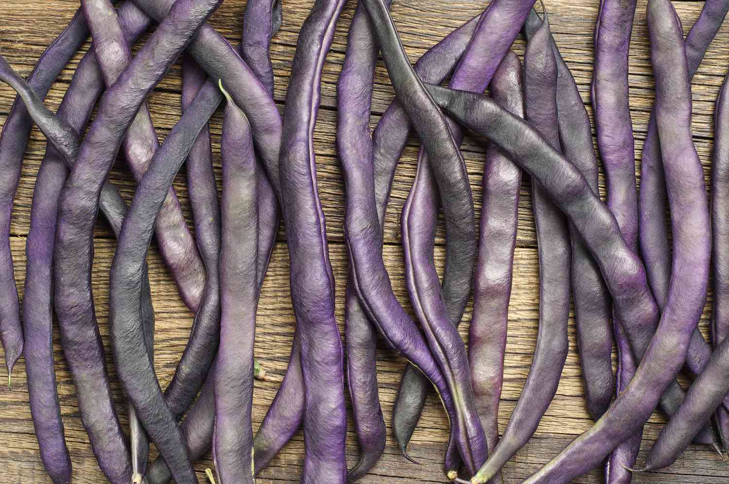how-to-eat-raw-china-long-purple-bean