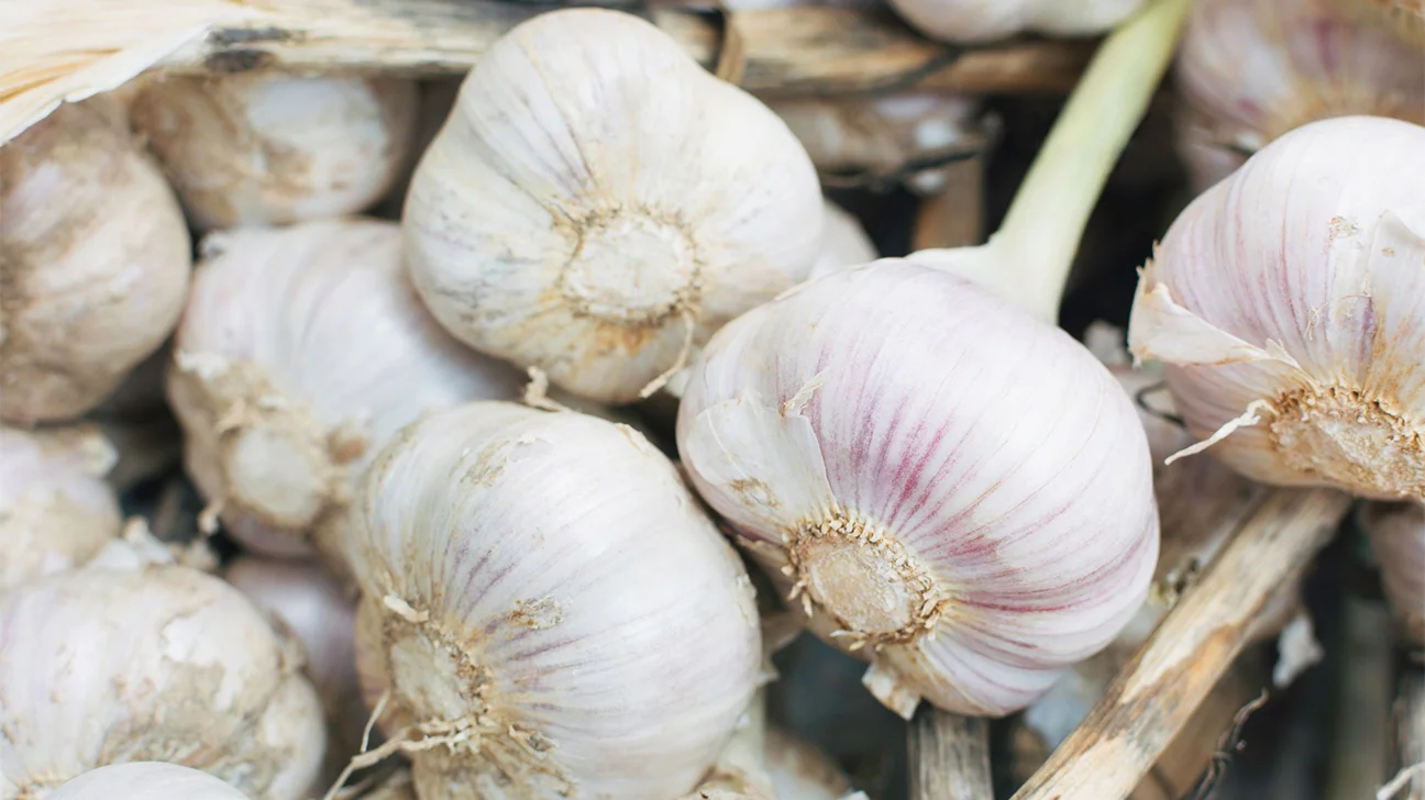 how-to-eat-raw-garlic-to-maximize-its-benefits