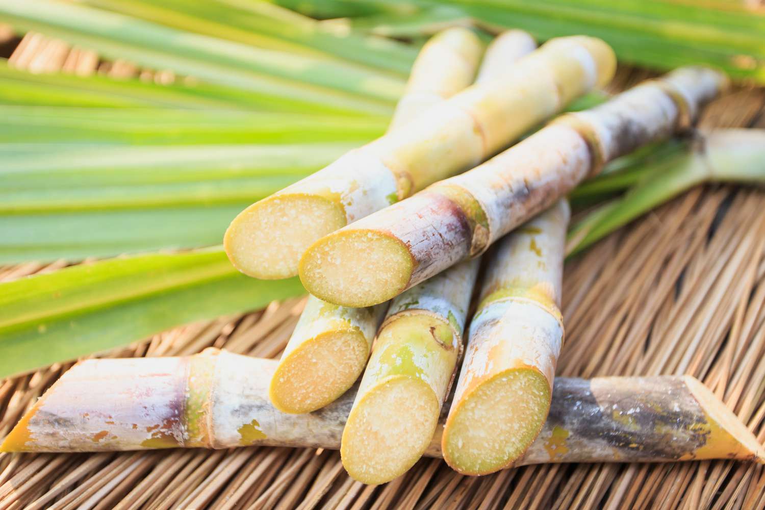 how-to-eat-raw-sugar-cane
