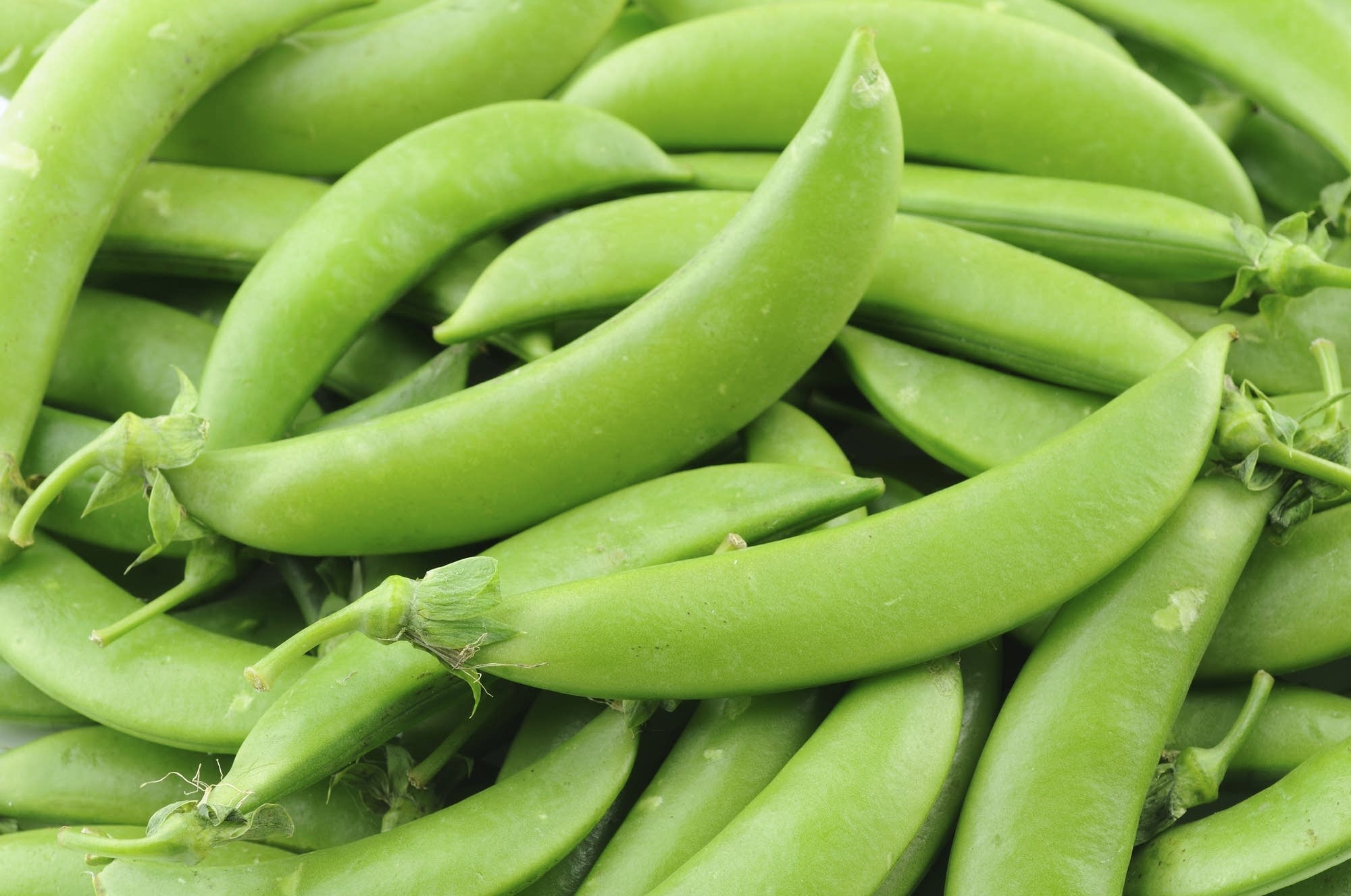 how-to-eat-raw-sugar-snaps
