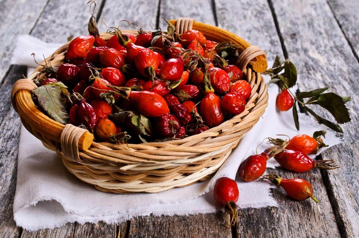 how-to-eat-rosehip