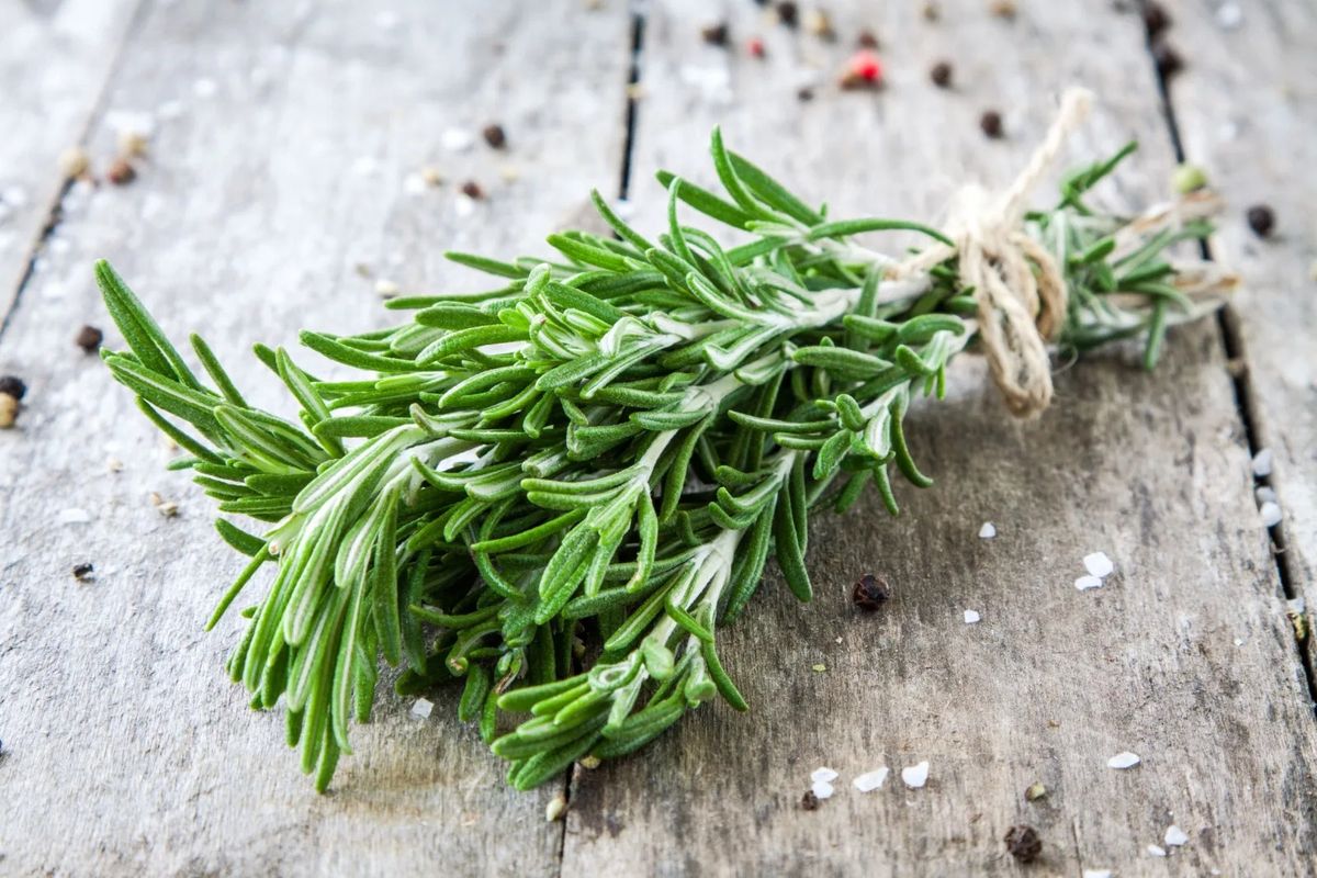 how-to-eat-rosemary-leaves