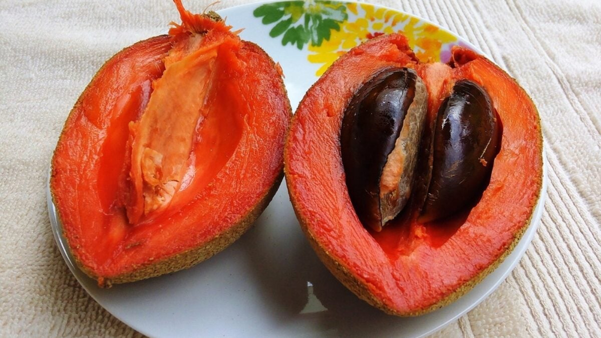 How To Eat Sapote Fruit - Recipes.net