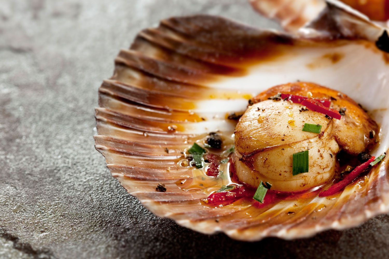 How To Eat Scallops In The Shell 