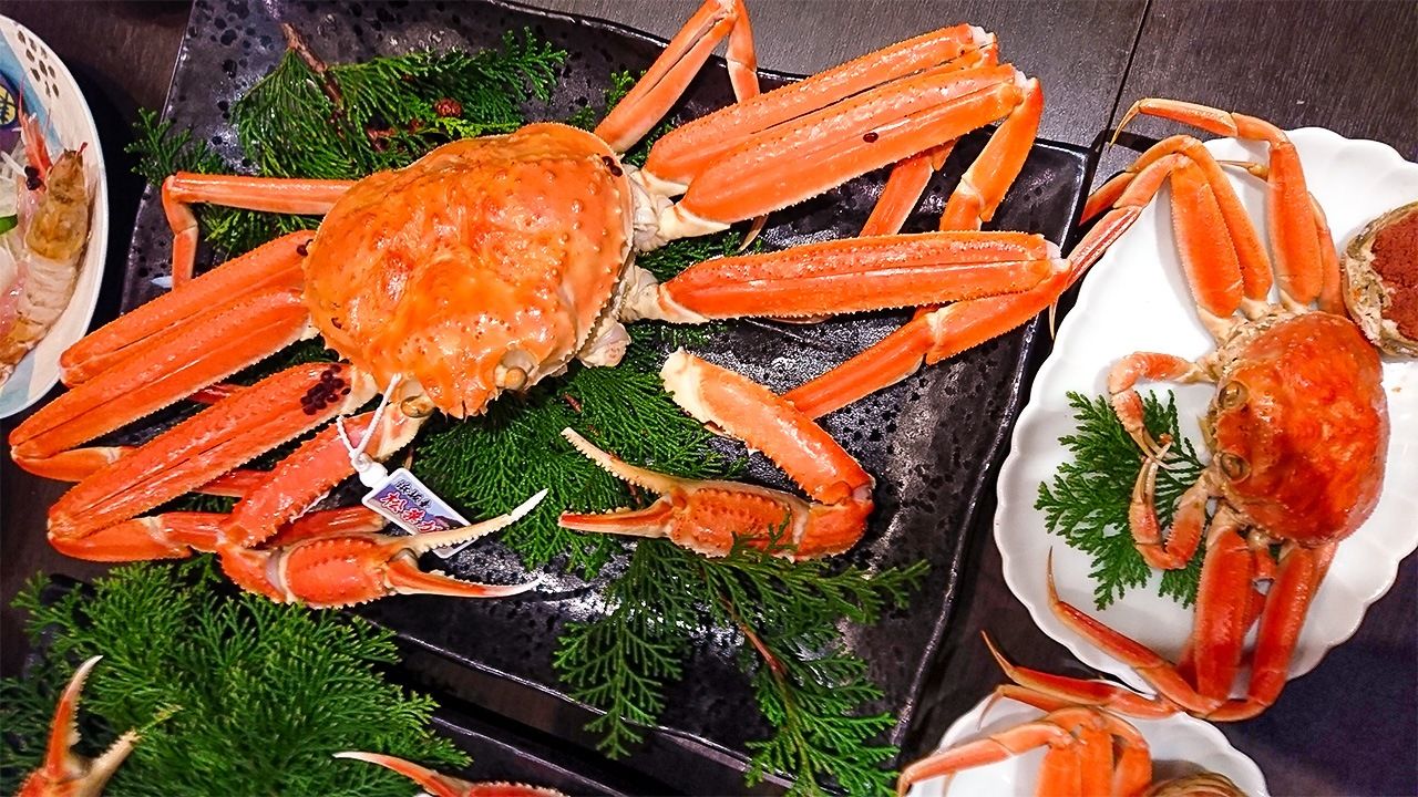 how-to-eat-snow-crabs
