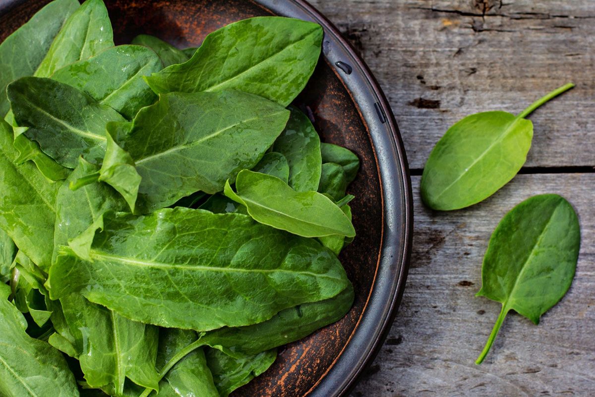 how-to-eat-sorrel