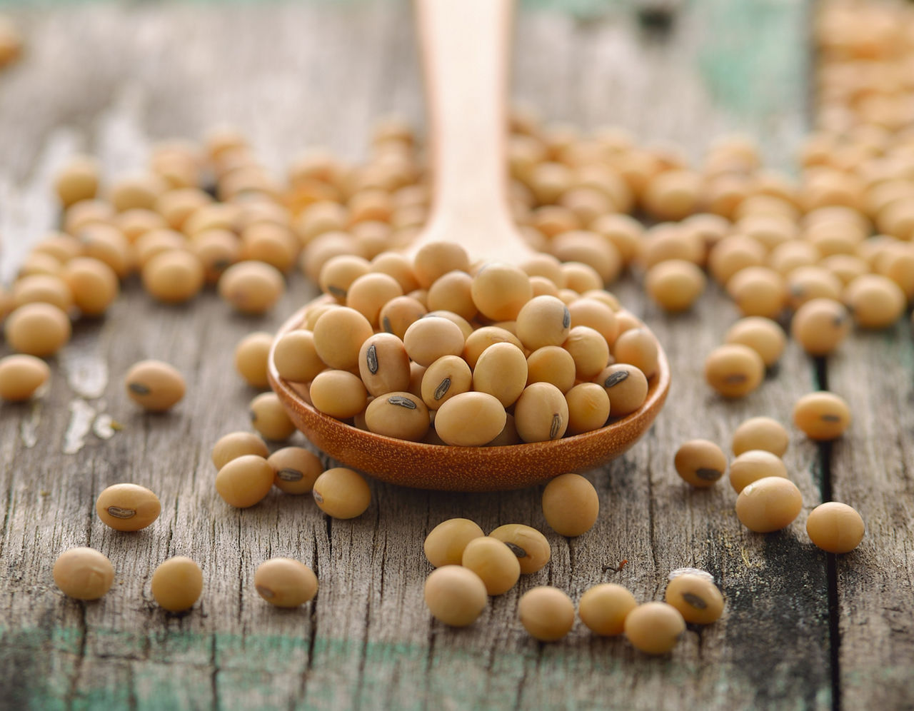 how-to-eat-soybeans-for-hair-growth