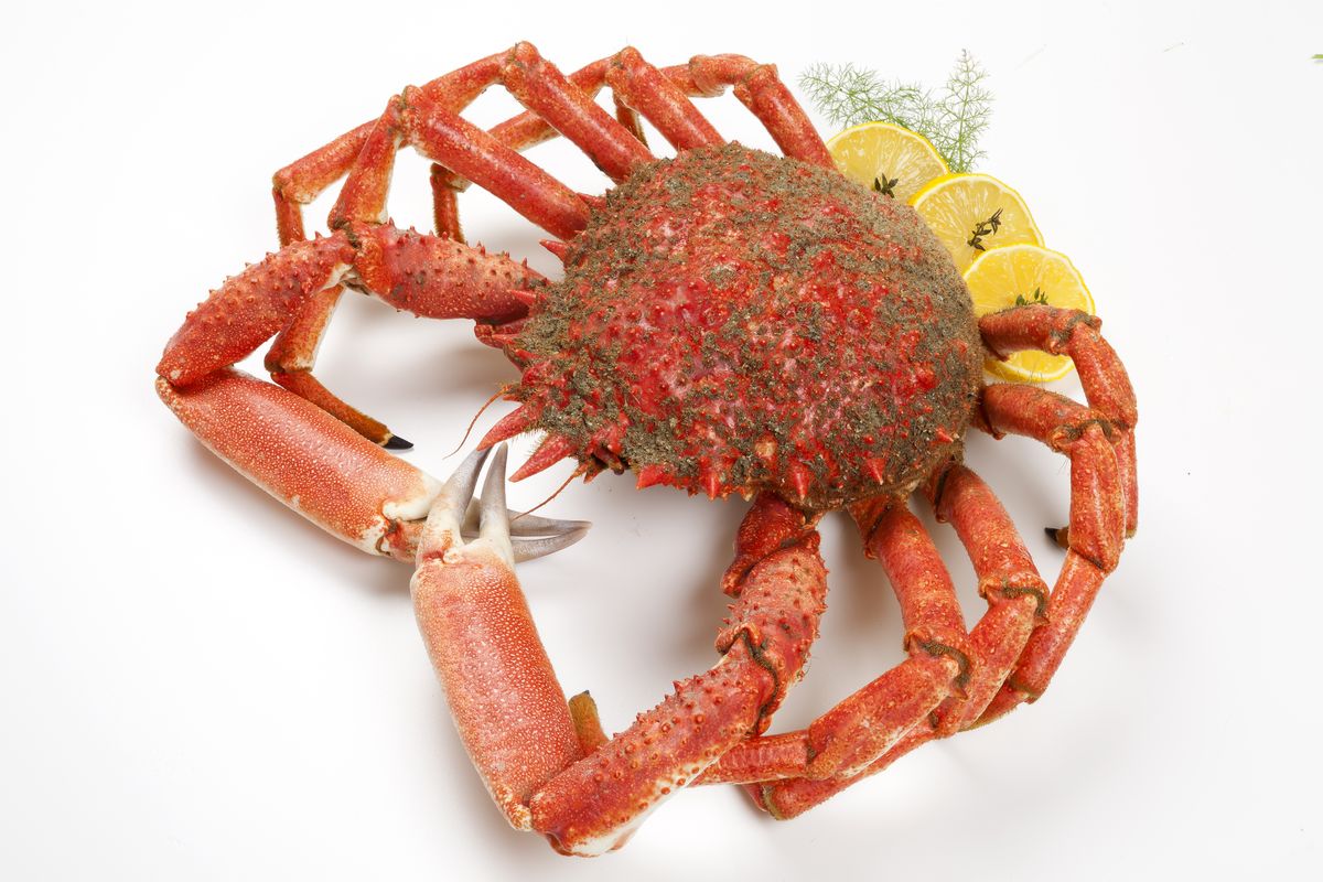 how-to-eat-spider-crab