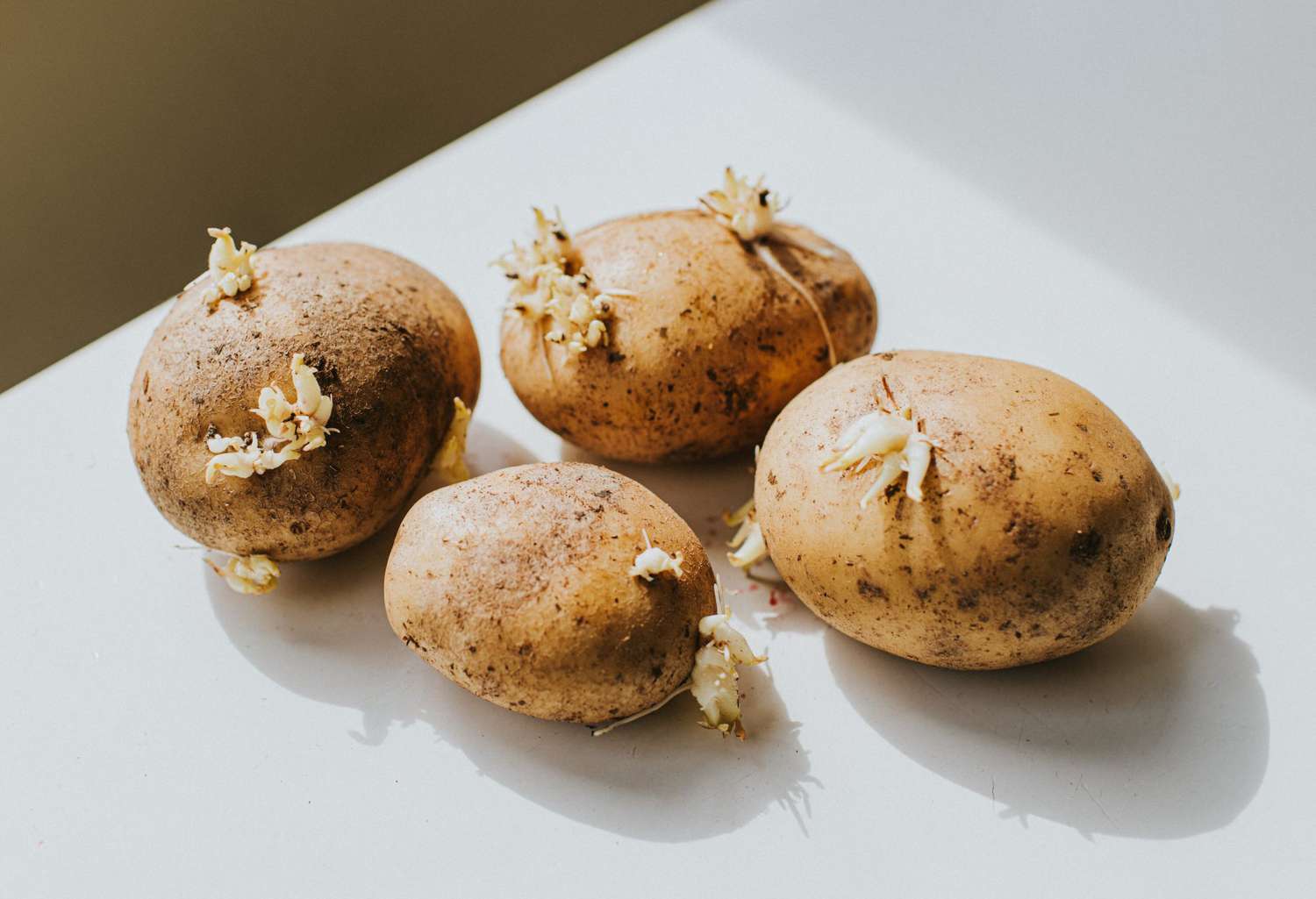 how-to-eat-sprouted-potatoes