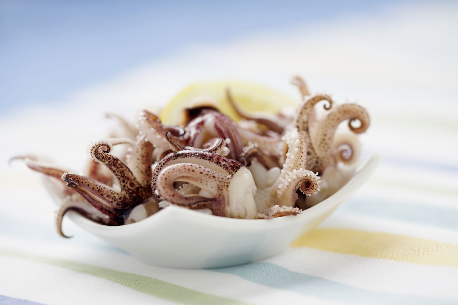 how-to-eat-squid-tentacles