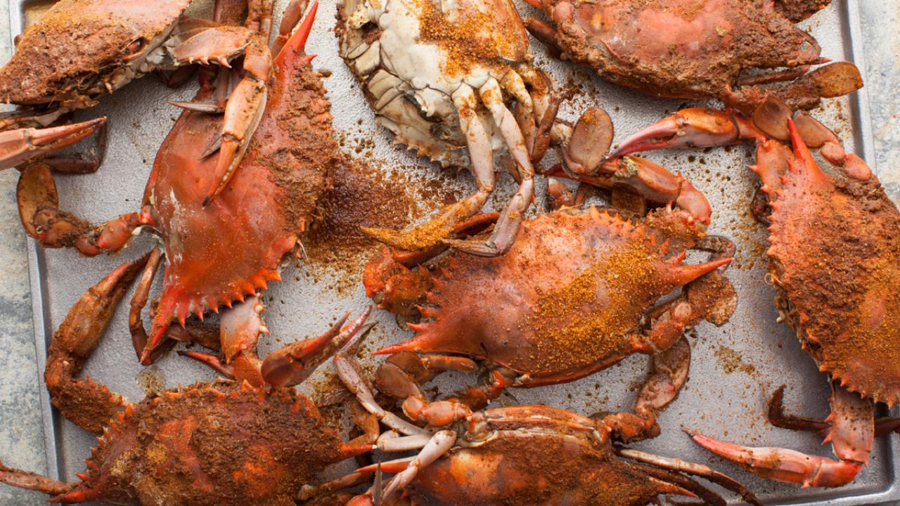 how-to-eat-steamed-maryland-blue-crabs