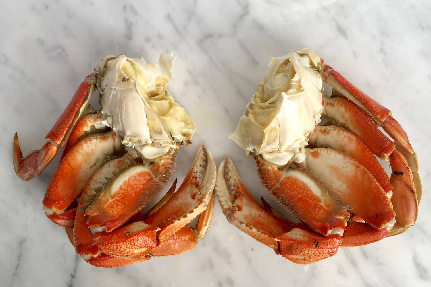 how-to-eat-stone-crab