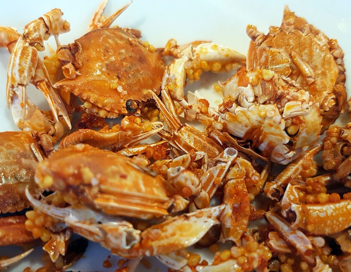 how-to-eat-tamagogani-crab