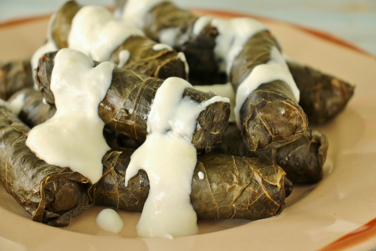 how-to-eat-turkish-dolma