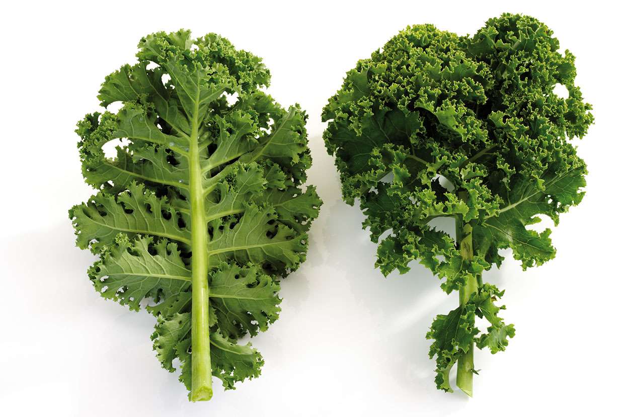 how-to-eat-vegetables-like-kale