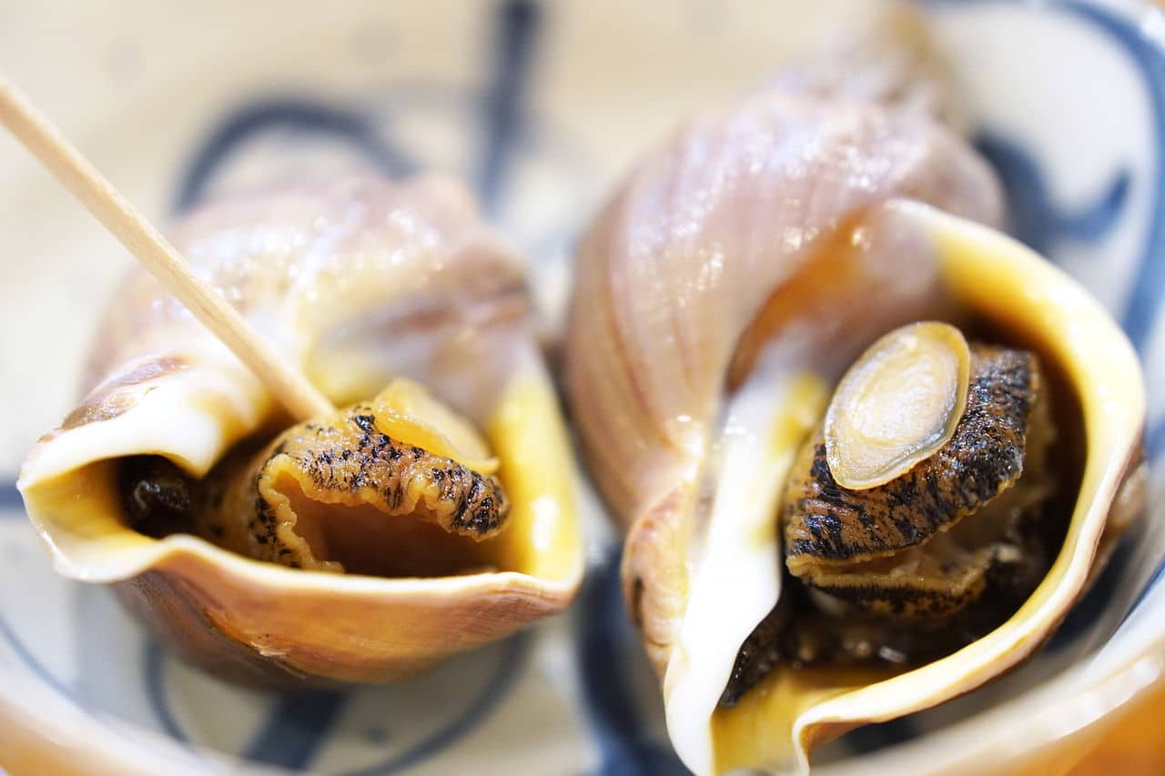 how-to-eat-whelks