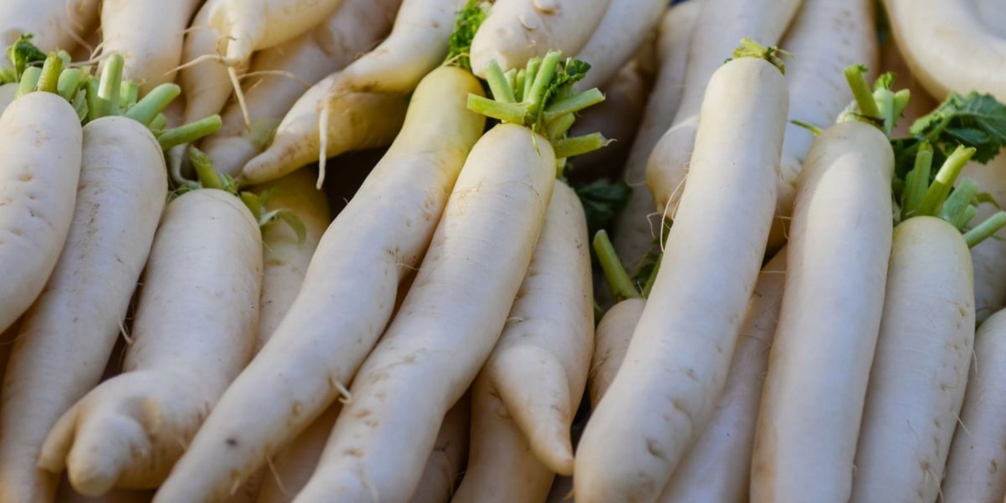 how-to-eat-white-daikon-radish