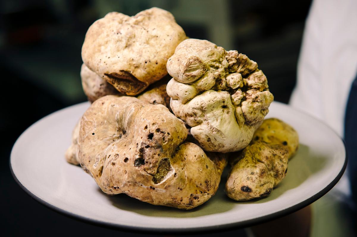 how-to-eat-white-truffle