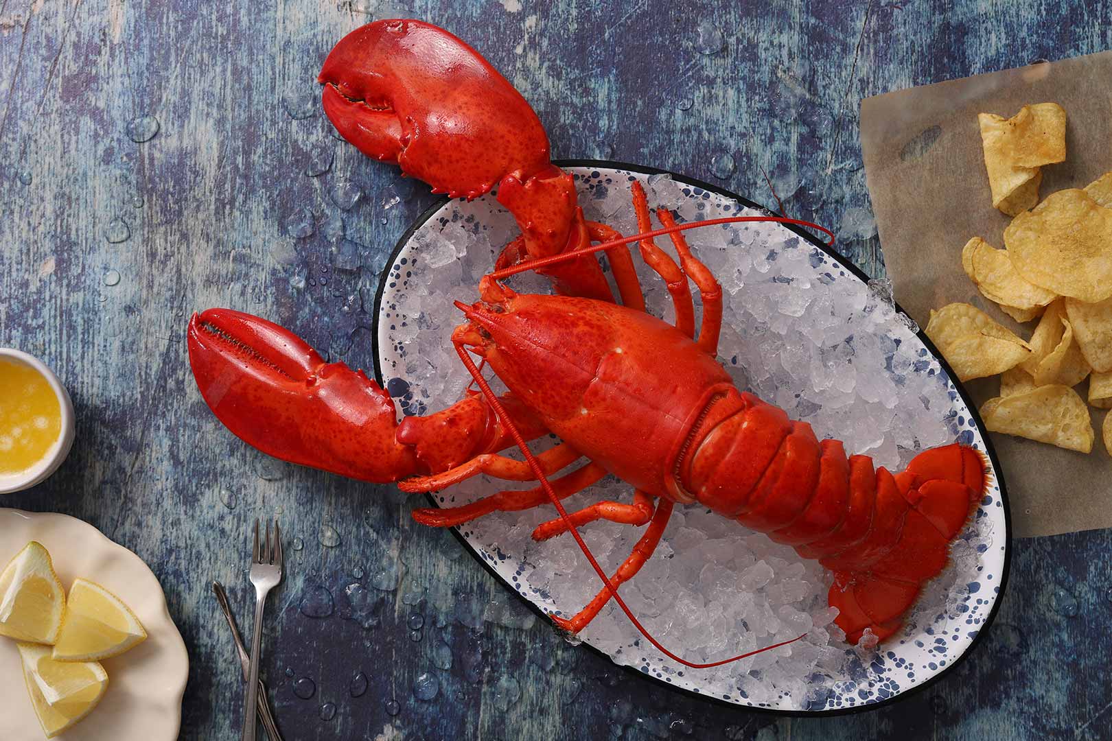 how-to-eat-whole-maine-lobster
