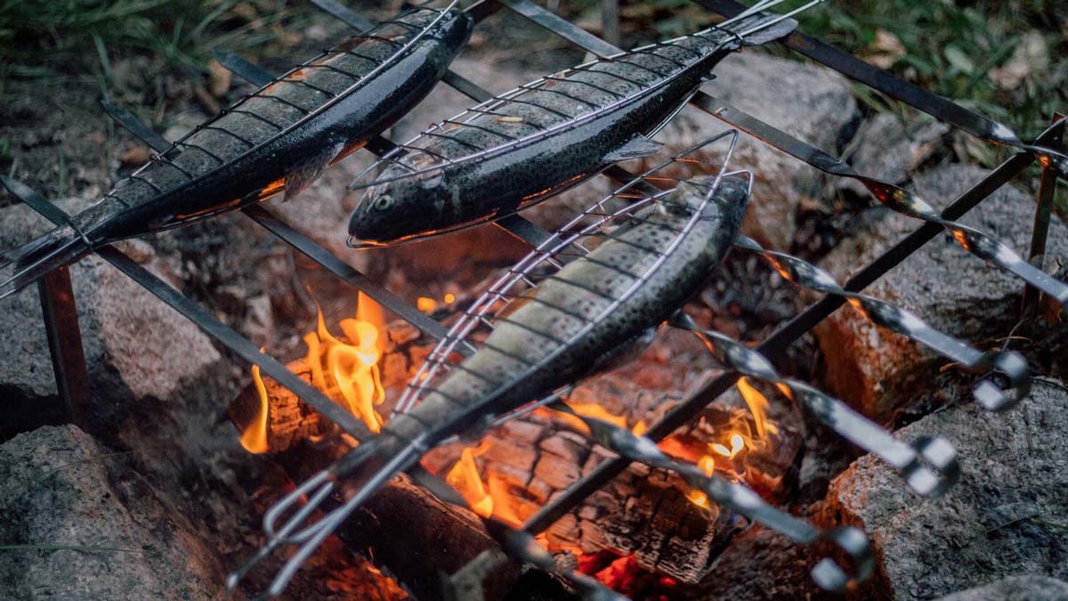 how-to-eat-your-fish-after-catching-it-while-camping