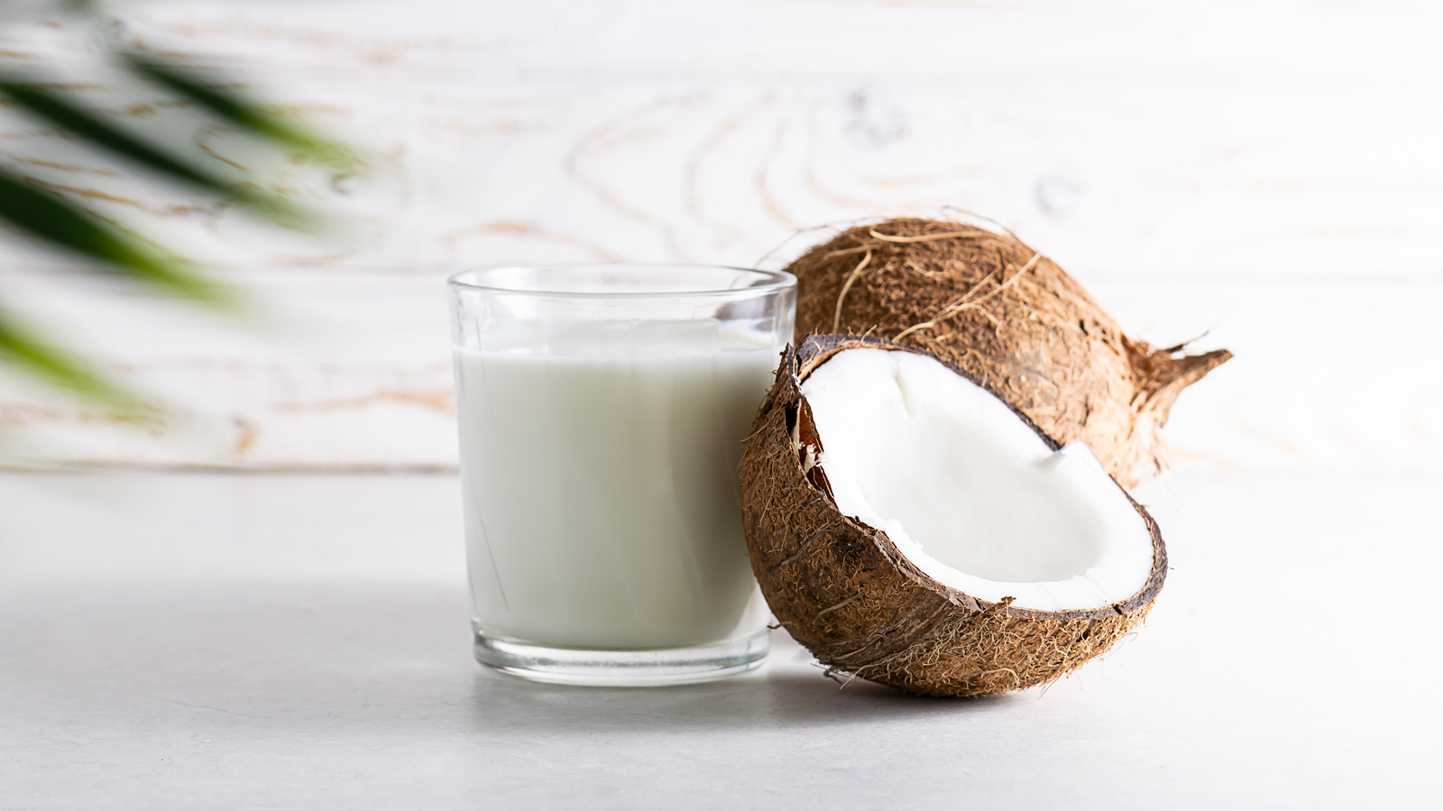 how-to-emulsify-coconut-milk