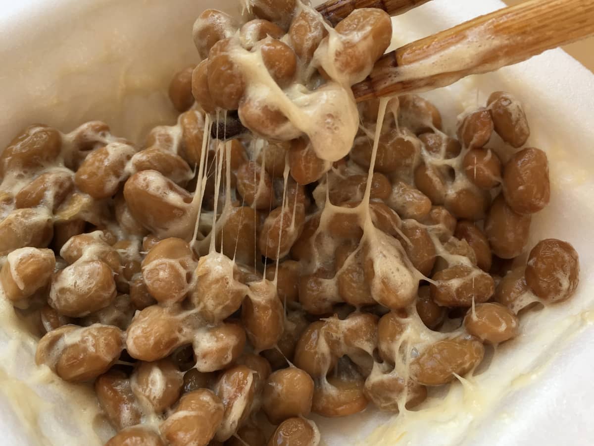 how-to-ferment-beans