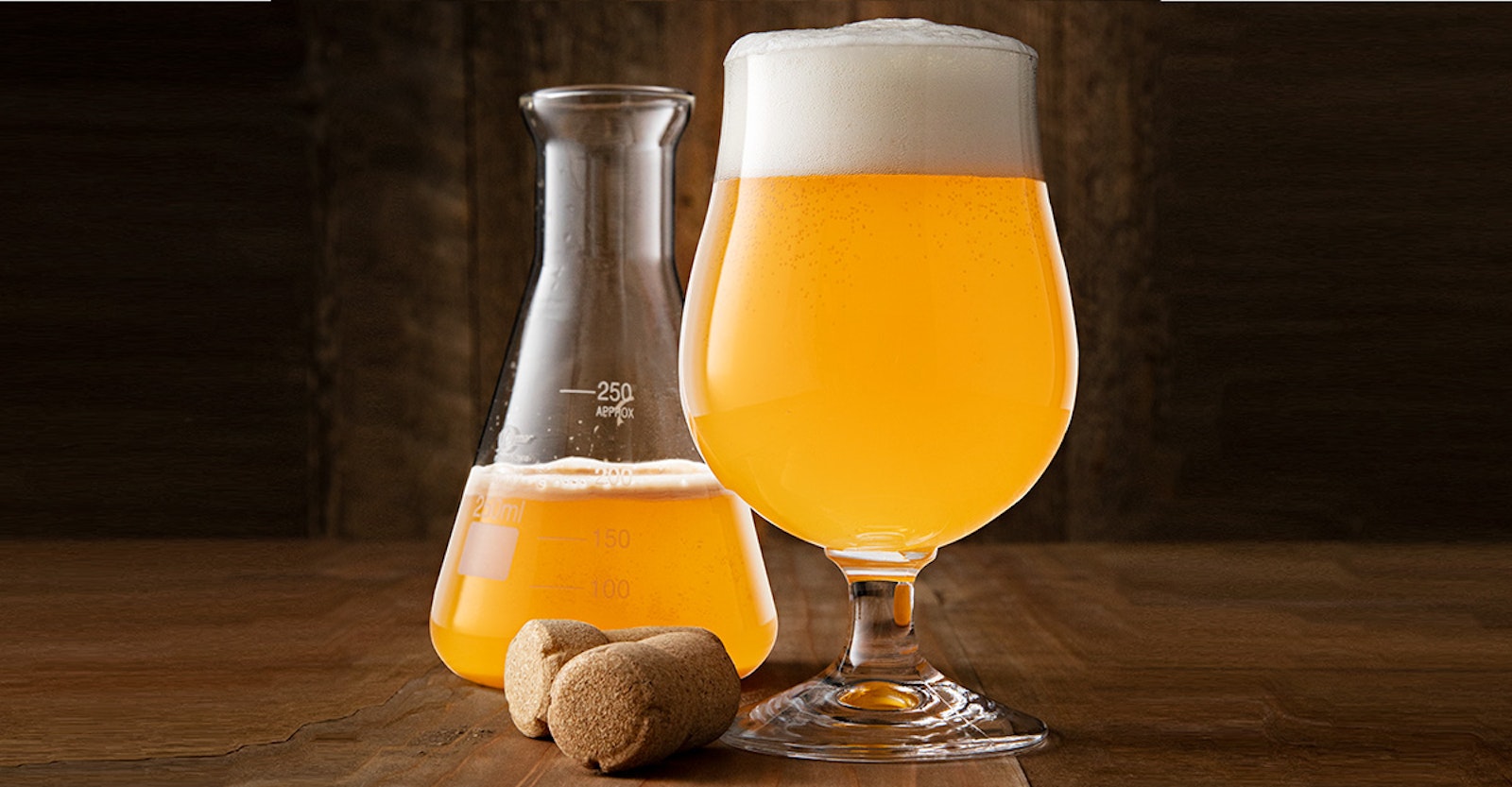 how-to-ferment-beer