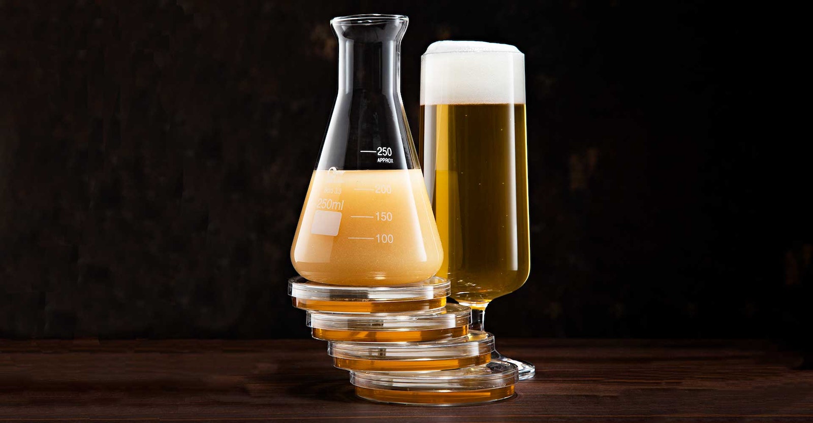 how-to-ferment-beer-at-a-specfic-temperature